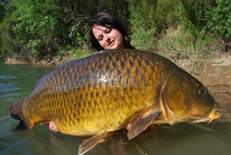 girls fishing - 427662272344386227832379368285n.jpg